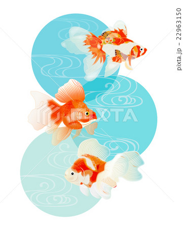金魚1 22963150