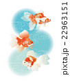 金魚2 22963151