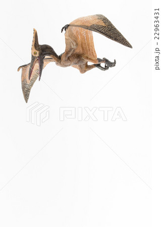 プテラノドン:Pteranodon 22963431