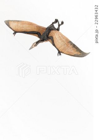 プテラノドン:Pteranodon プテラノドン:Pteranodon 22963432