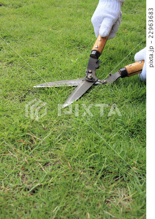 芝の刈込み 芝の刈込み 22963683