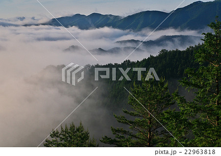朝日に照らされた雲海と松 朝日に照らされた雲海と松 22963818