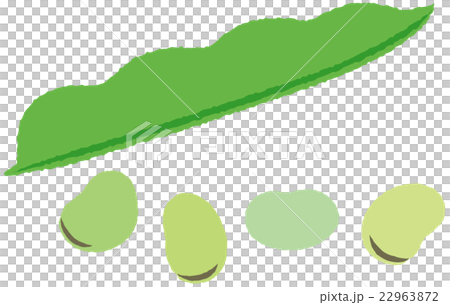 图库插图: 蚕豆