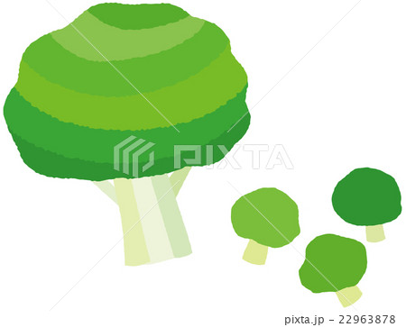 ブロッコリー 22963878