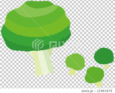 ブロッコリー 22963878