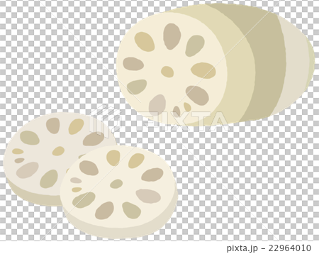 蓮藕 蓮藕 22964010