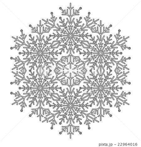 Pretty Vector Round Snowflake 22964016