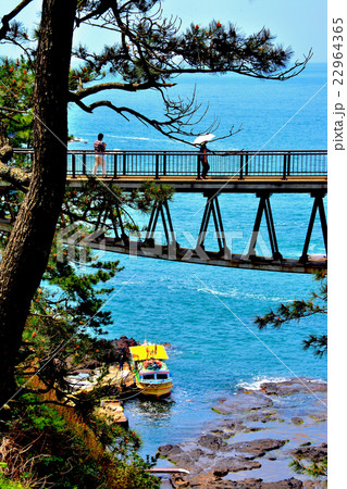 金沢・能登金剛・巌門・ 幸せのがんもん橋（３） 22964365