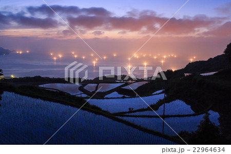 東後畑　棚田 22964634