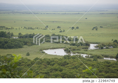 薄靄の釧路湿原 22964749