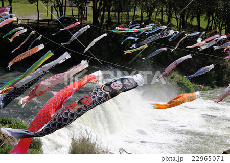Carp streamer_滝の上の鯉のぼり Carp streamer_滝の上の鯉のぼり 22965071