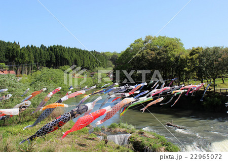 Carp streamer_滝の上の鯉のぼり 22965072