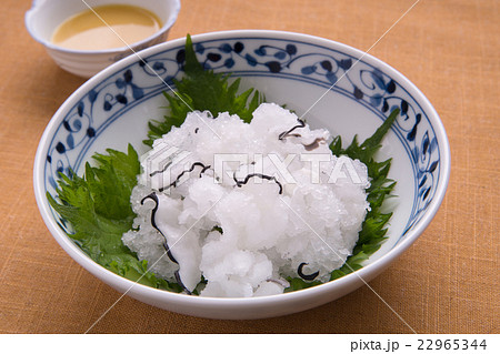 さらし鯨 さらし鯨 22965344
