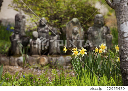 150422沼田43 22965420