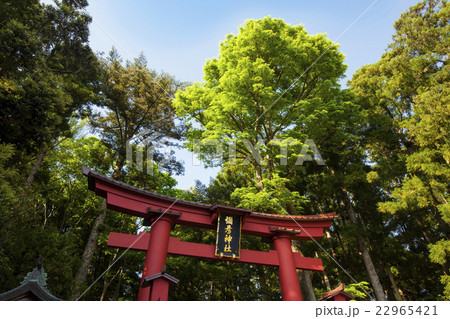 150502彌彦神社01 22965421