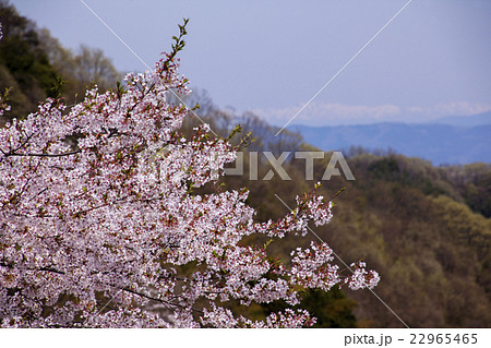 150412大塩湖06 22965465