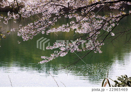 150412大塩湖10 22965469