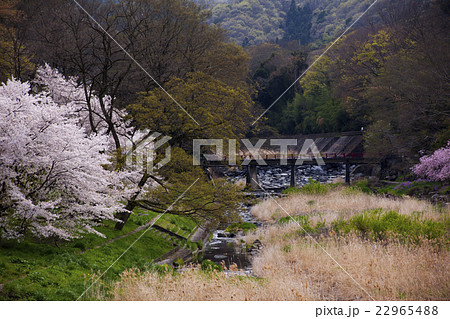 150412大塩湖18 22965488