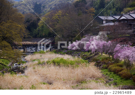 150412大塩湖19 22965489