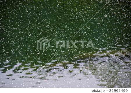 150412大塩湖20 22965490