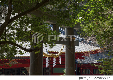 150416日光16 22965517