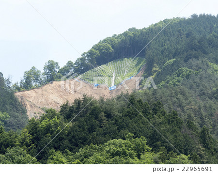 林業 森林伐採後 斜面 土砂崩れ防止工事 植栽仕様の写真素材