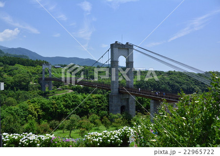 秦野戸川公園 22965722