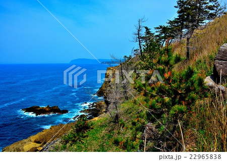 能登金剛・遊歩道より見るヤセの断崖の絶壁（１） 22965838