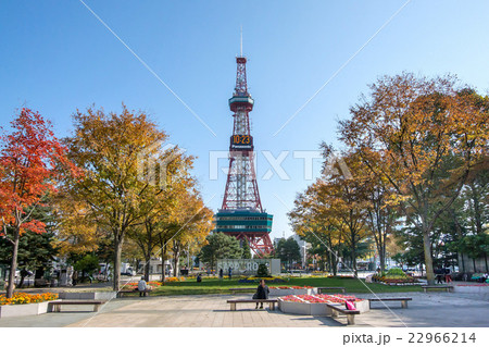 北海道の札幌大通公園 22966214