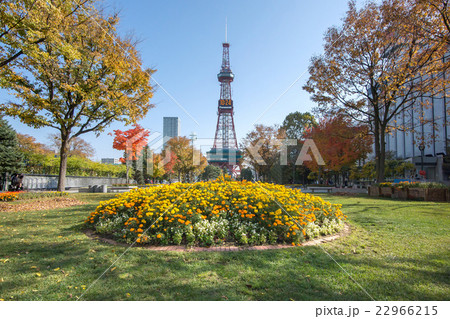 札幌大通公園 22966215