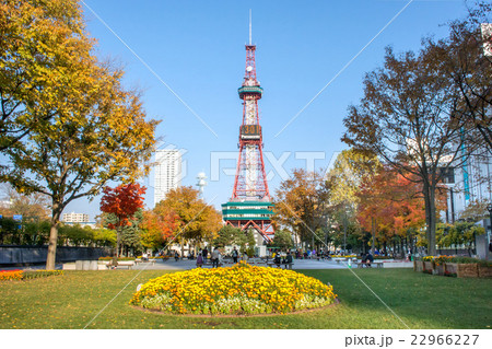 札幌大通公園と札幌テレビ塔 札幌大通公園と札幌テレビ塔 22966227