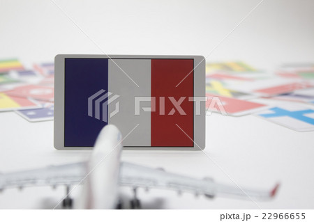 国旗　飛行機 22966655