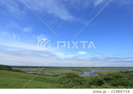 【北海道】霧多布湿原の夏の風景 22966739