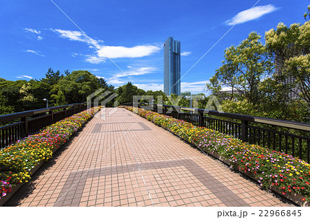 都会のオアシス 22966845