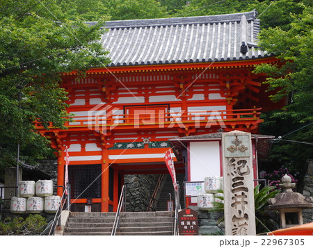 紀三井寺 22967305