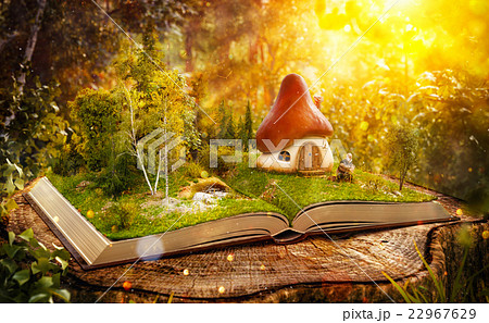 Magical mushroom house 22967629