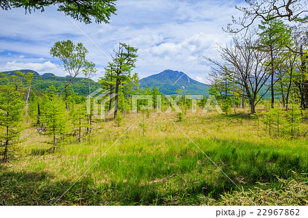 日光　春の戦場ヶ原（太郎山、三岳） 22967862
