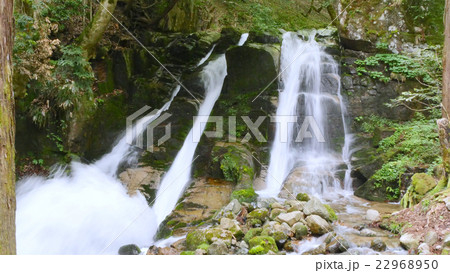 三室の滝の新緑 22968950