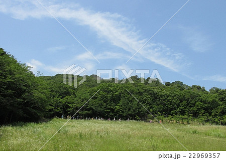 やすらぎ広場 22969357