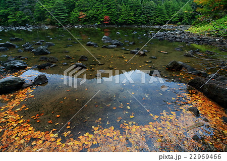 秋色の北八ヶ岳・亀甲池 秋色の北八ヶ岳・亀甲池 22969466