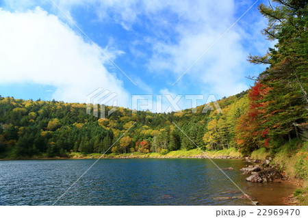秋色の北八ヶ岳・双子池 秋色の北八ヶ岳・双子池 22969470