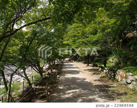 夏の香嵐渓の写真素材