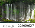 白糸の滝 22969627