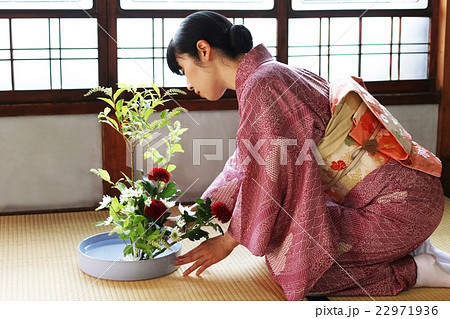 華道／生け花をする着物姿の女性の写真素材 [22971936] - PIXTA