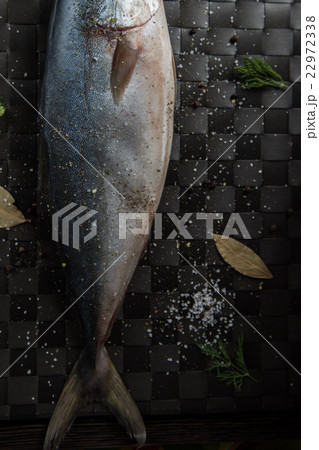raw tuna fish raw tuna fish 22972338