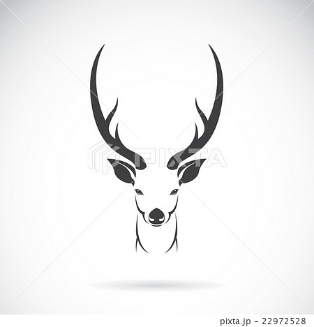 Vector image of an deer head design Vector image of an deer head design 22972528