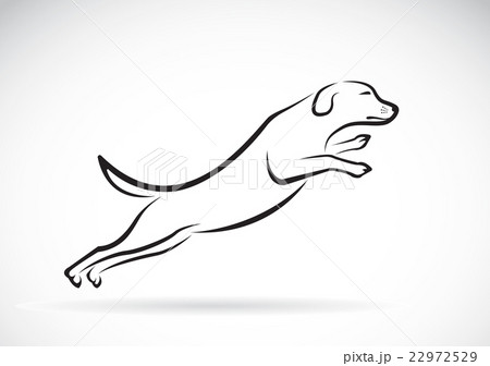 Vector image of an dog jumping Vector image of an dog jumping 22972529