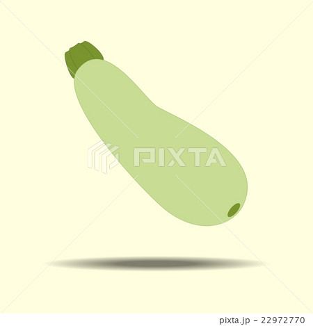 Squash Zucchini Vegetable Icon 22972770