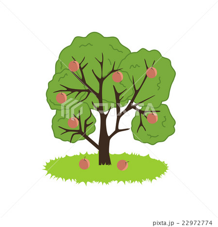 Peach Tree Icon Peach Tree Icon 22972774