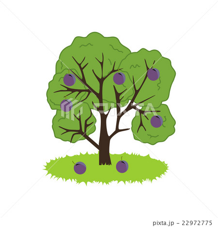 Plum Tree Icon Plum Tree Icon 22972775